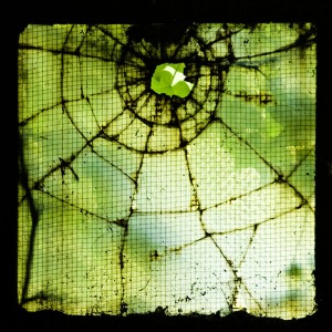 Old Broken Window