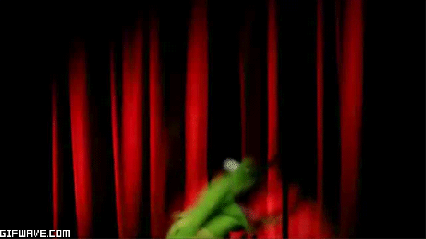 excited-muppets-kermit-kermit-the-frog-yay